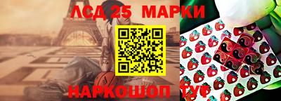 гашик Жуковский