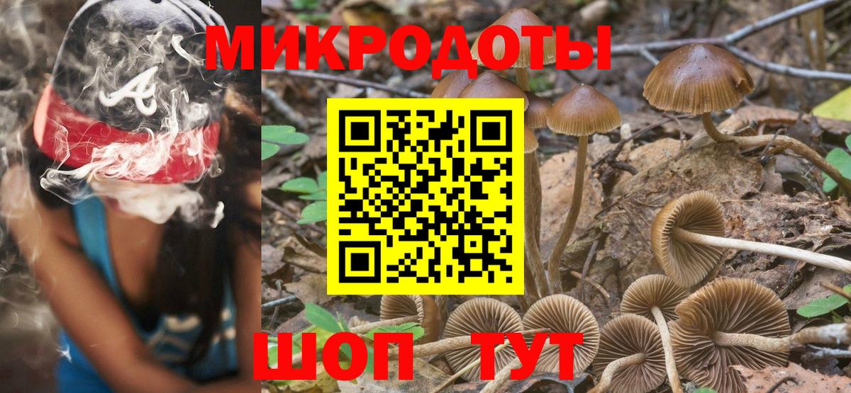 Псилоцибиновые грибы Magic Shrooms Кулебаки