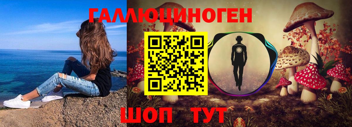 Галлюциногенные грибы Psilocybe  Псилоцибиновые грибы Cubensis  Вход с VPN  Кулебаки 